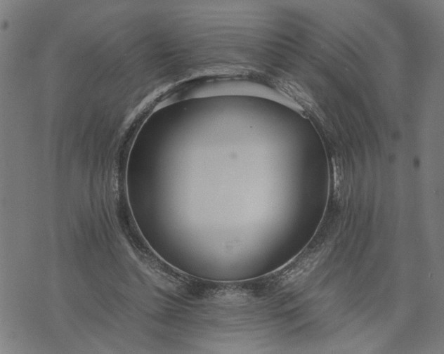 X0000074230348200609081626