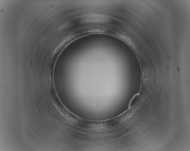 X0000074230349200609081626