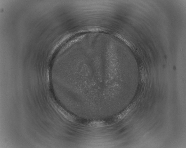 X0000074230350200609081627