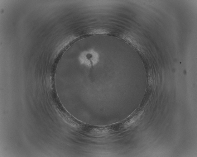 X0000074230351200609081627