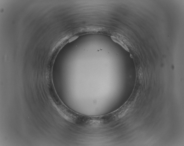 X0000074230352200609081627