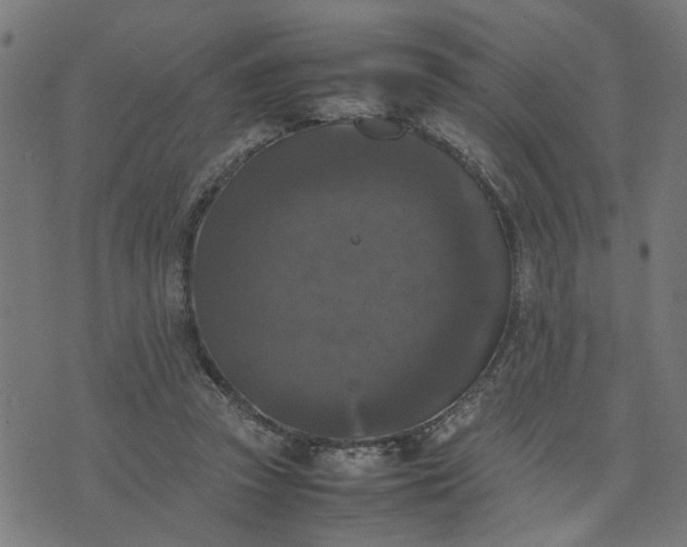 X0000074230353200609081627