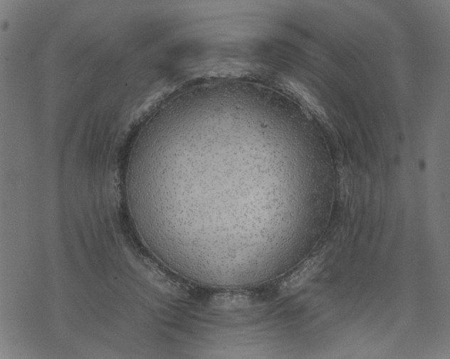 X0000074230354200609081627