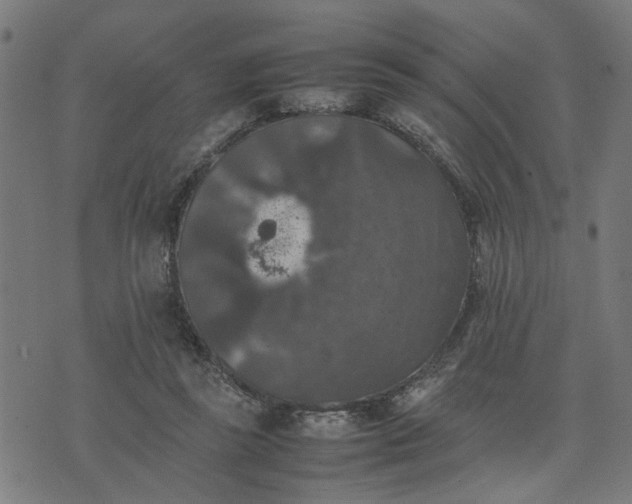 X0000074230355200609081627