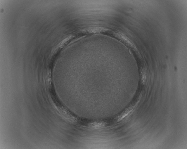 X0000074230356200609081627