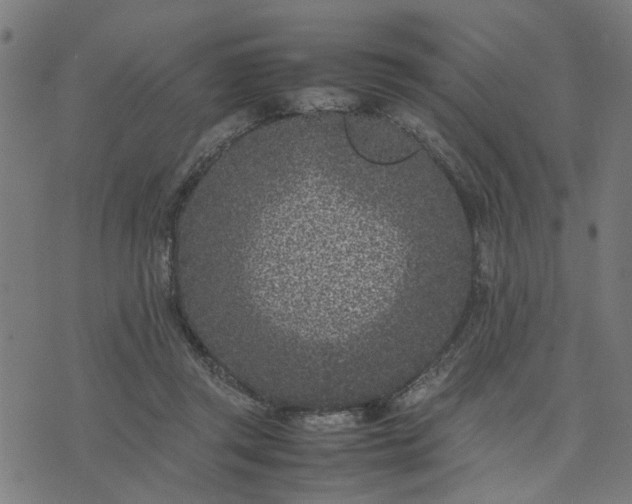 X0000074230357200609081627