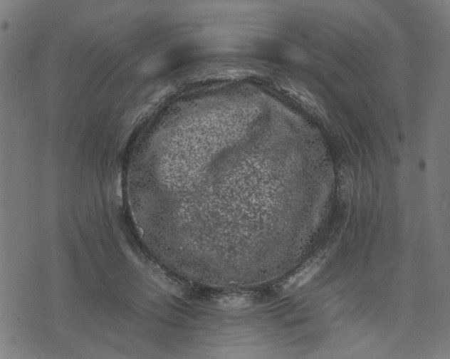 X0000074230358200609081627