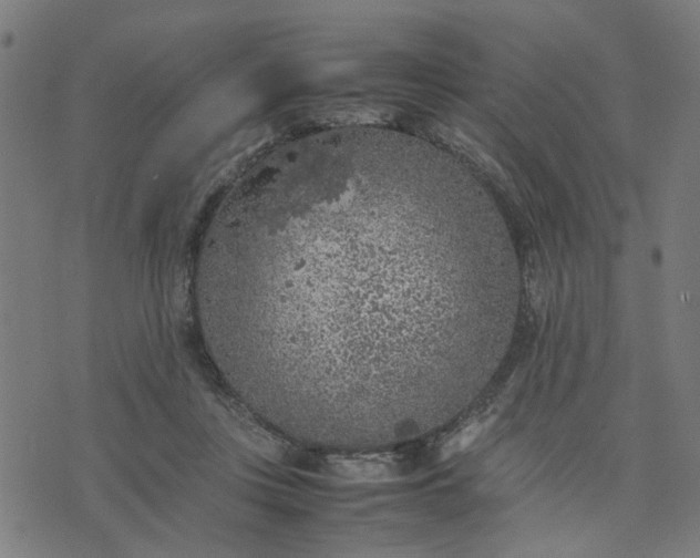 X0000074230359200609081627