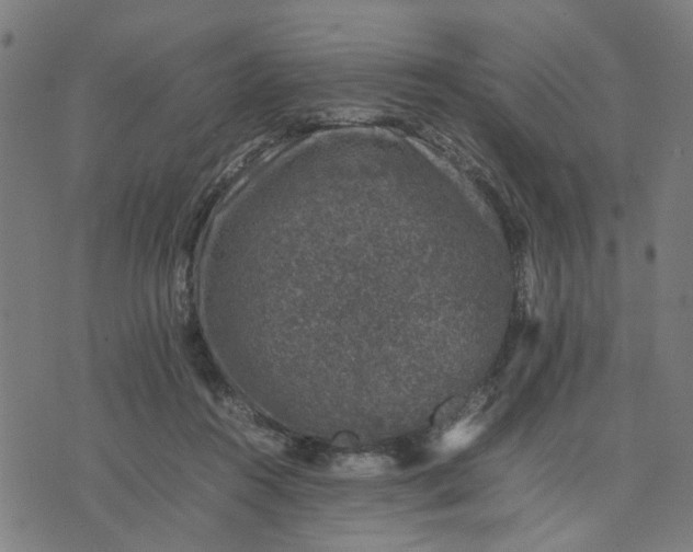 X0000074230360200609081627