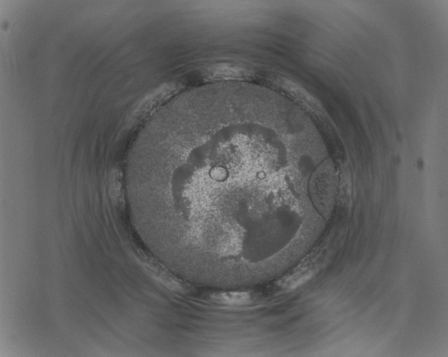 X0000074230361200609081627