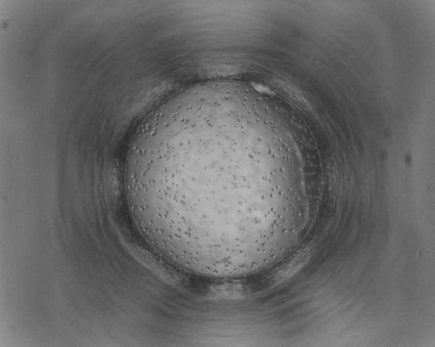 X0000074230362200609081627