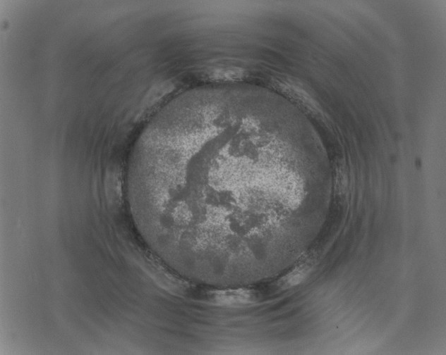 X0000074230363200609081627