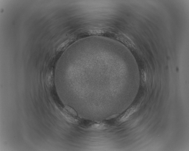 X0000074230364200609081627