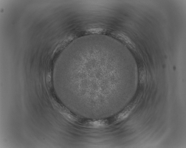 X0000074230365200609081627