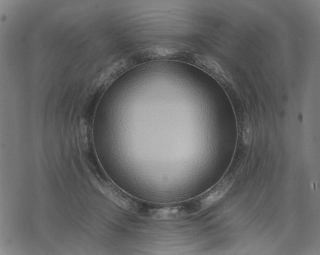 X0000074230366200609081627