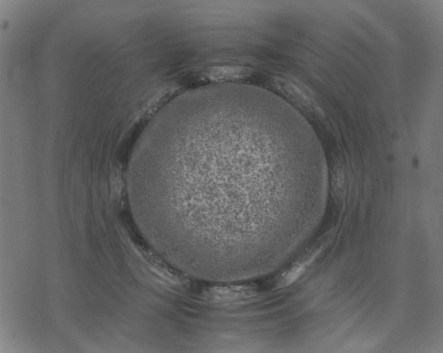 X0000074230367200609081627