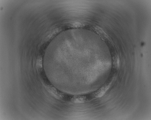 X0000074230368200609081627