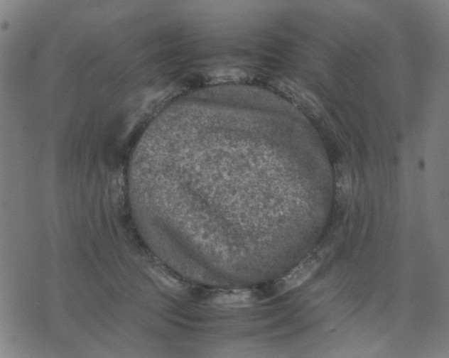 X0000074230369200609081627