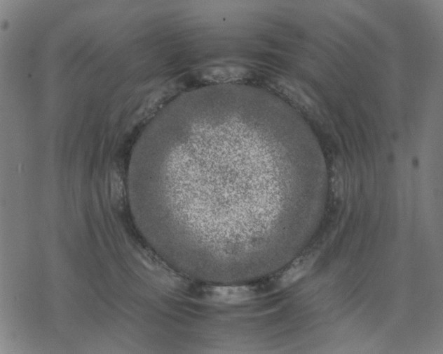 X0000074230371200609081627