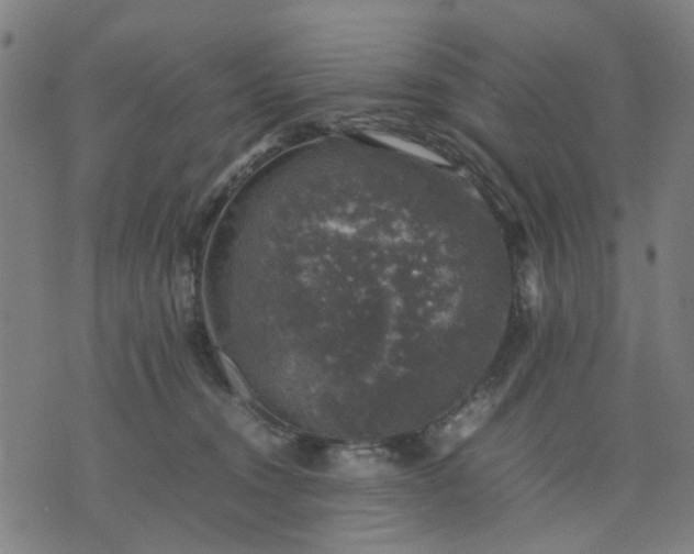 X0000074230372200609081627