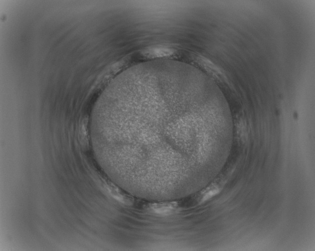 X0000074230373200609081627