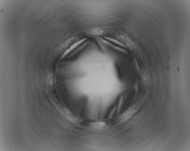 X0000074230374200609081627