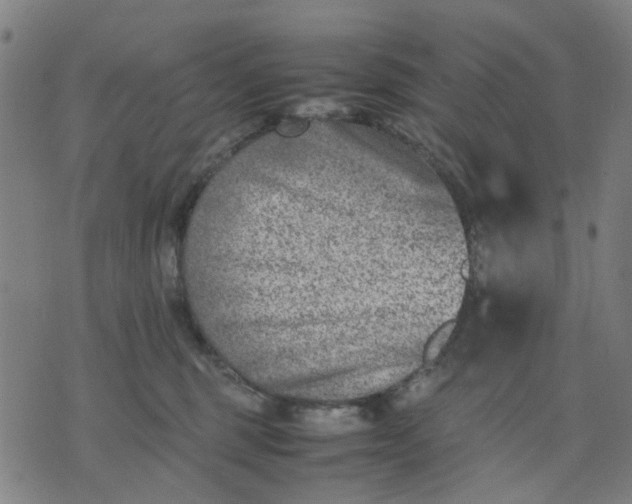 X0000074230375200609081627