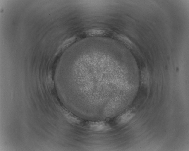 X0000074230377200609081627