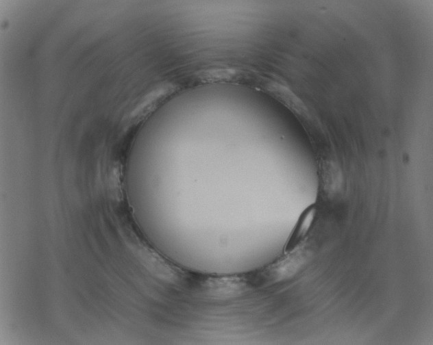 X0000074230378200609081627