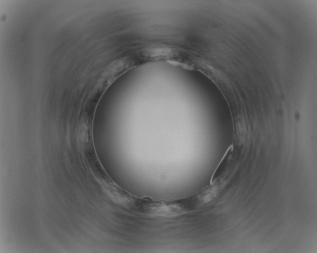 X0000074230379200609081627