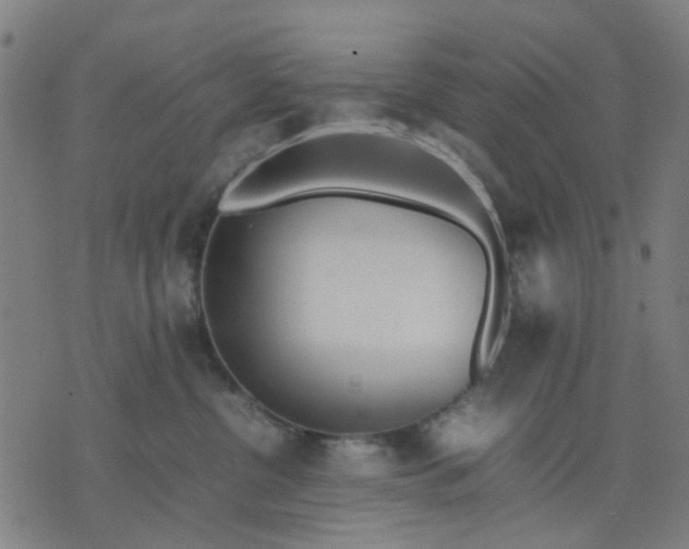 X0000074230380200609081627