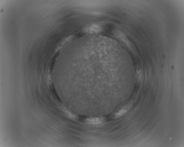 X0000074230381200609081627