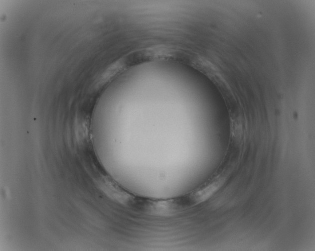 X0000074230382200609081627