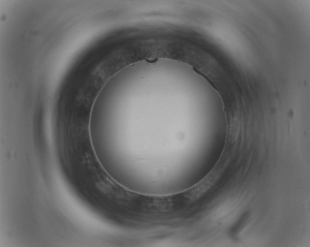 X0000074230383200609081627