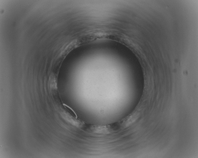 X0000074230384200609081627