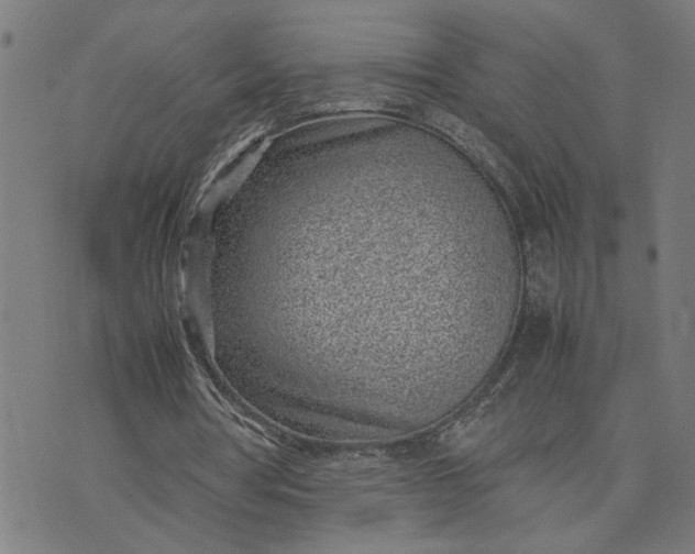 X0000074230386200609081626