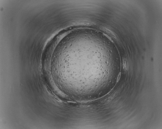 X0000074230388200609081626