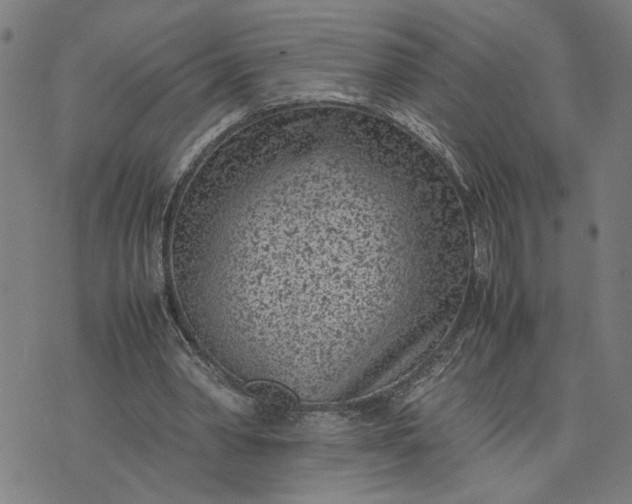 X0000074230390200609081626