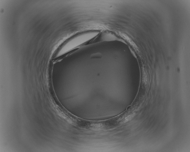 X0000074230391200609081626