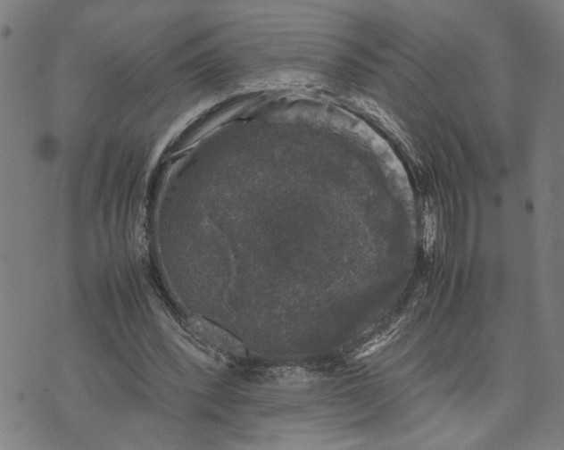 X0000074230392200609081626