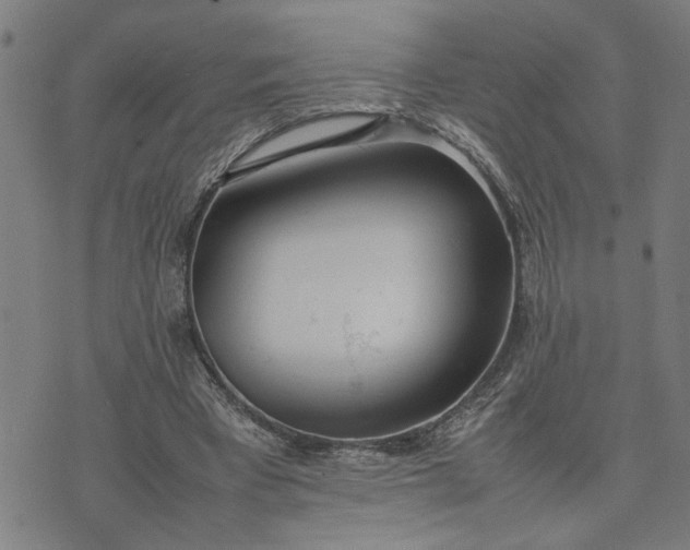 X0000074230393200609081626