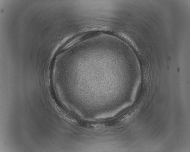 X0000074230395200609081626