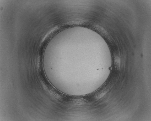 X0000074230396200609081626