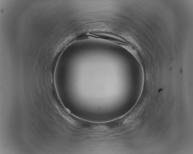 X0000074230397200609081626