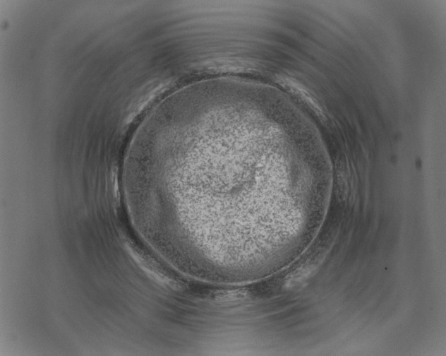 X0000074230398200609081626