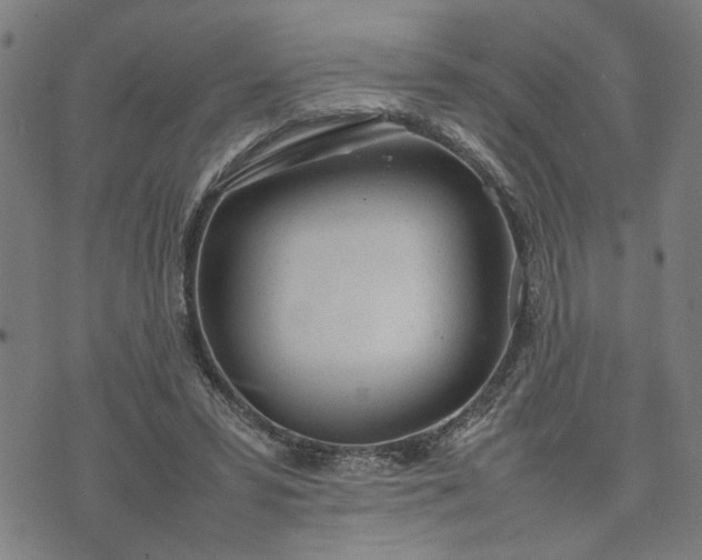 X0000074230399200609081626