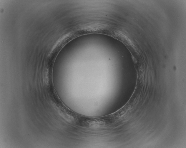 X0000074230400200609081626