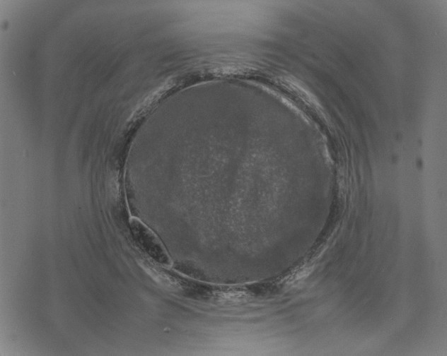 X0000074230401200609081626