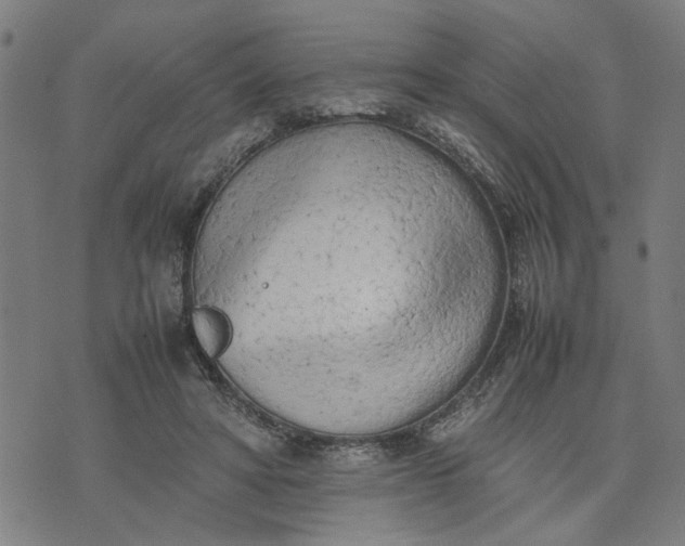 X0000074230402200609081626