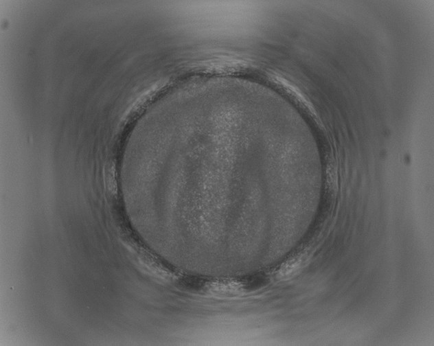 X0000074230403200609081626